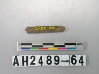 藏品(磨製石針)的圖片